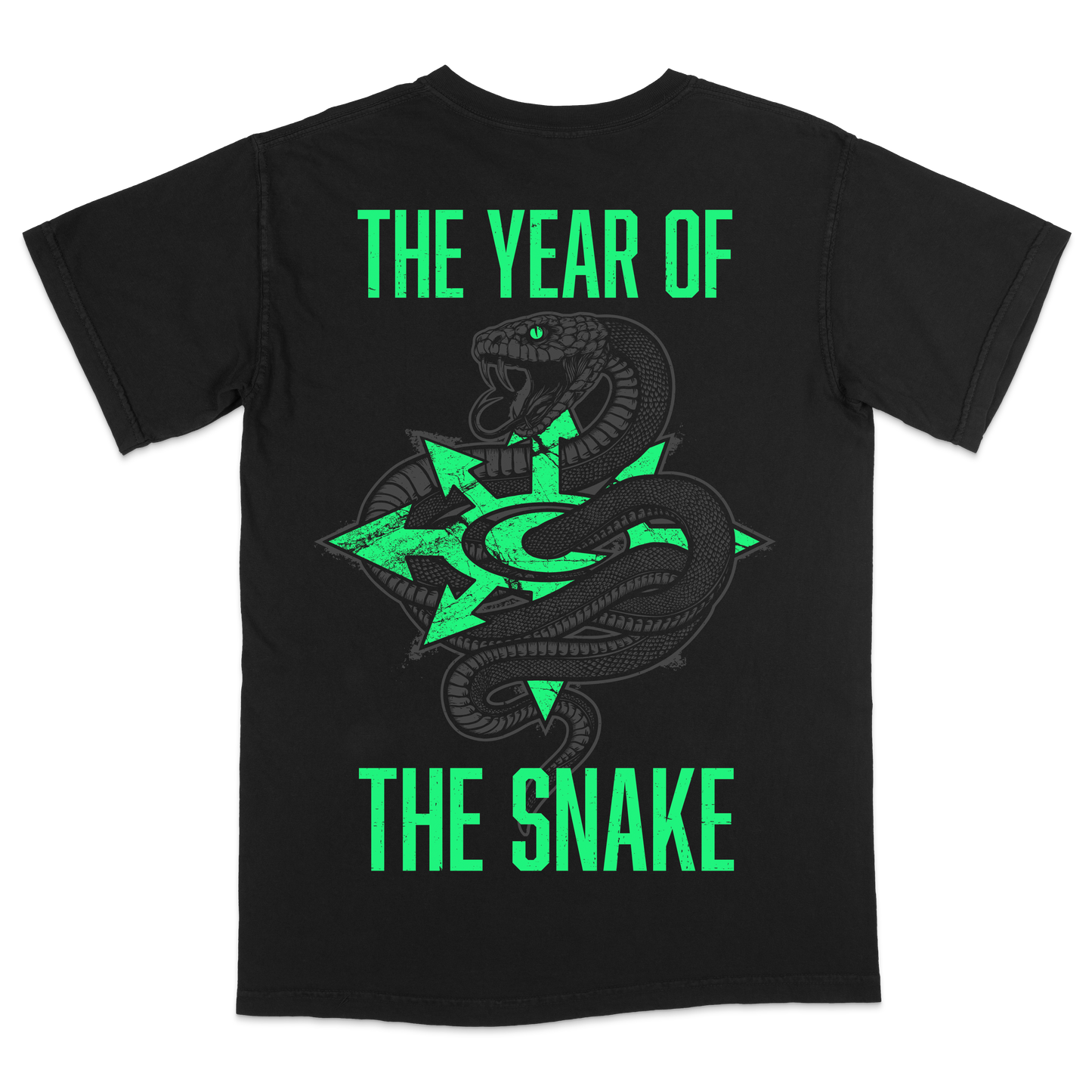 Year of the Snake T-Shirt