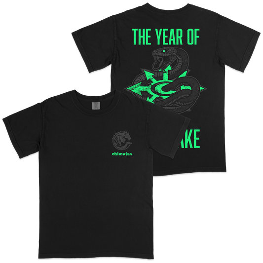 Year of the Snake T-Shirt